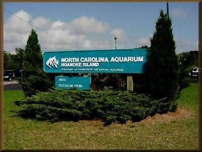 North Carolina Aquarium: Roanoke Island