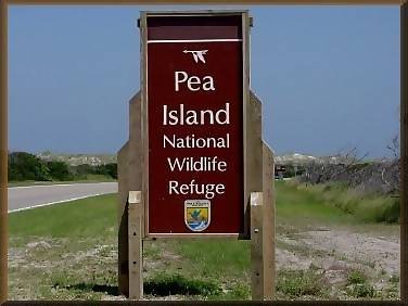 Pea Island National Wildlife Refuge