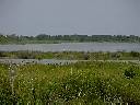 View of the Pamlico Sound